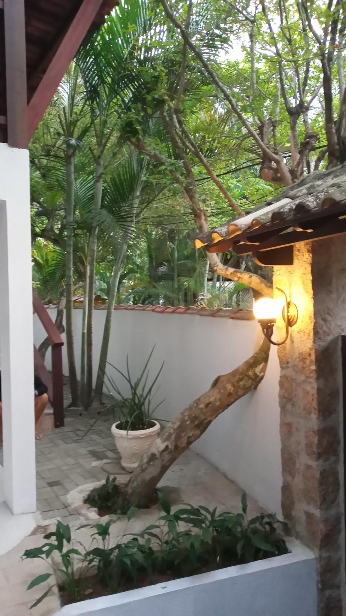 Pitanga Ilha Grande Acomodação com café da manhã Exterior foto